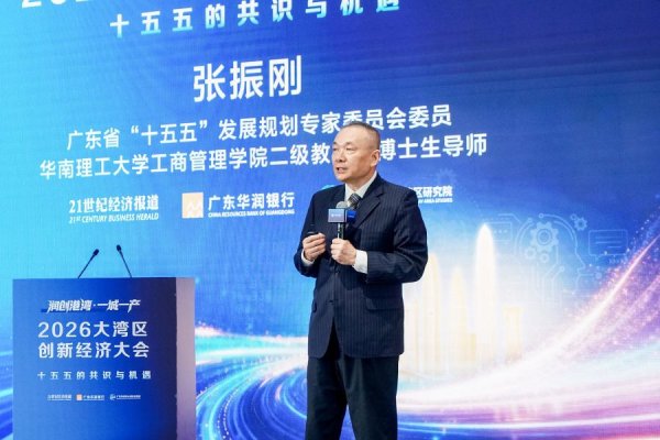 张振刚：“十五五”规划蓝图下，广东机遇何在？
