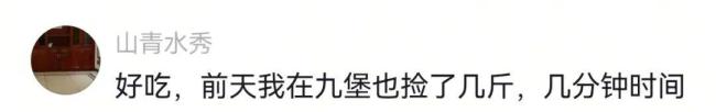 杭州雨后出现地衣 最贵349元/斤 雨后限定美味