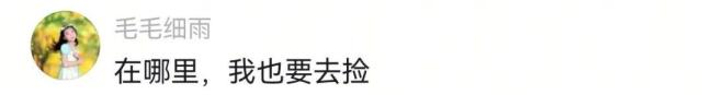 杭州雨后出现地衣 最贵349元/斤 雨后限定美味