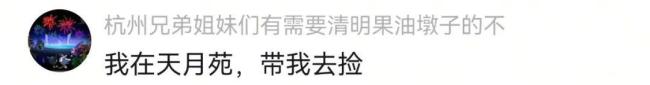 杭州雨后出现地衣 最贵349元/斤 雨后限定美味