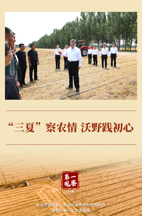 第一观察｜“三夏”察农情 沃野践初心